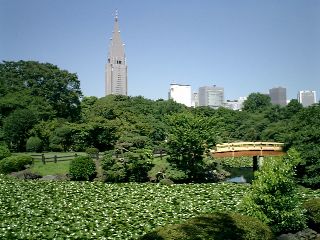 新宿御苑