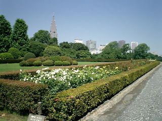 新宿御苑