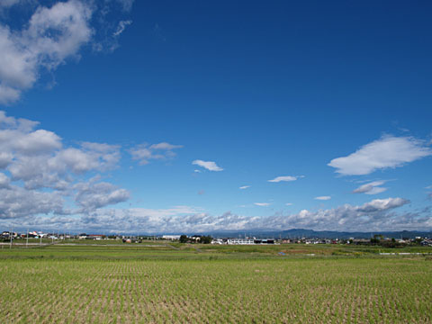 E-1実力テスト2「犬と青空」(1)