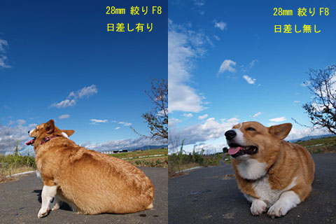 E-1実力テスト2「犬と青空」(2)
