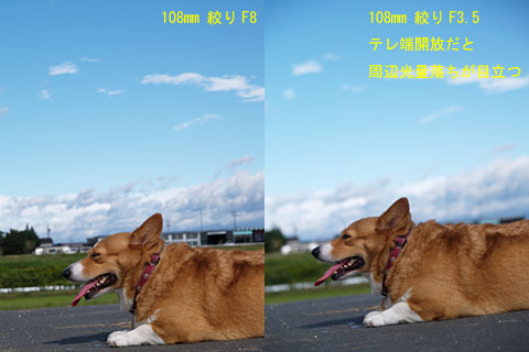 E-1実力テスト2「犬と青空」(3)