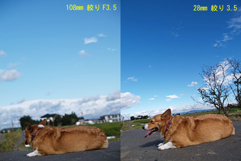 E-1実力テスト2「犬と青空」(4)