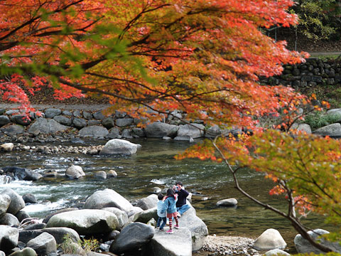 香嵐渓の紅葉(3)