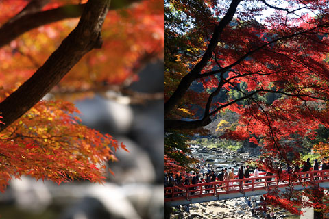 香嵐渓の紅葉(5)