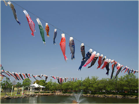 堀内公園の鯉のぼり(1)