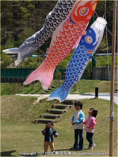 「香恋の里」と「山遊里」の鯉のぼり(2)