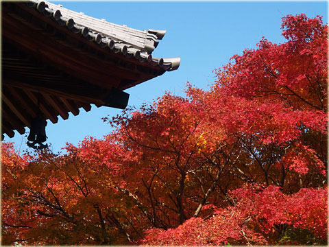 真福寺の紅葉