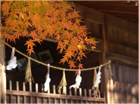 真福寺の紅葉