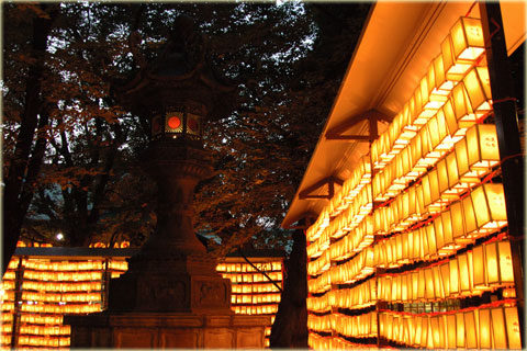 靖国神社の「みたままつり」7