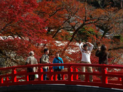 箕面公園7