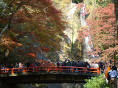 箕面公園8