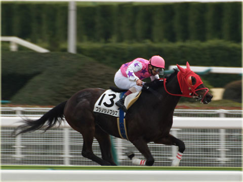 競走馬に挑戦 2