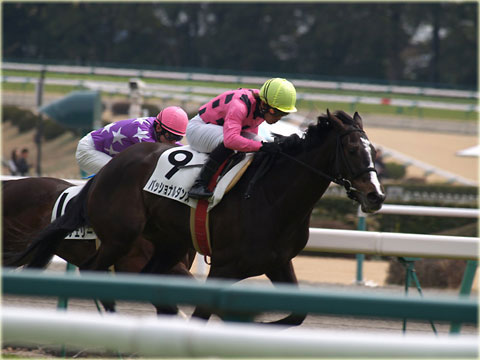 競走馬に挑戦 4