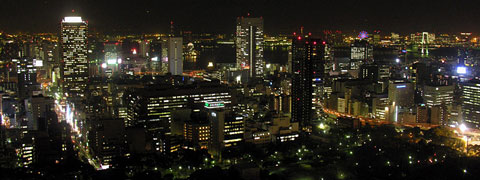 東京タワーからの夜景1