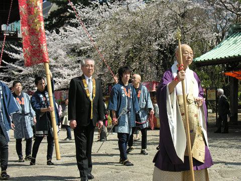 東京の桜6