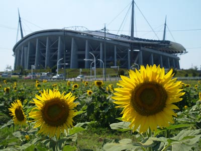 豊田スタジアム 東側農地3