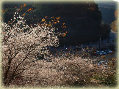 小原村
