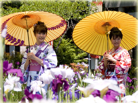 ミスかきつばた と 花しょうぶ(9)