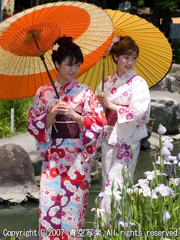 ミスかきつばた と 花しょうぶ(18)