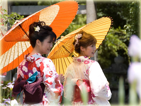 ミスかきつばた と 花しょうぶ(22)