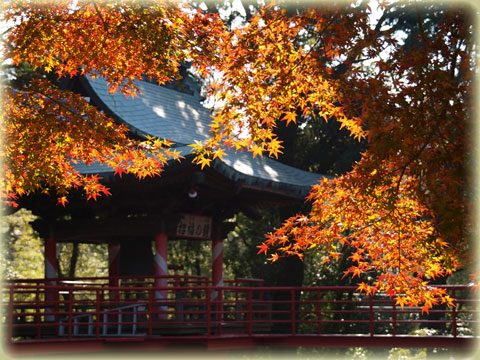 真福寺の紅葉(5)