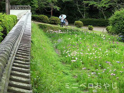 松平郷の高月院