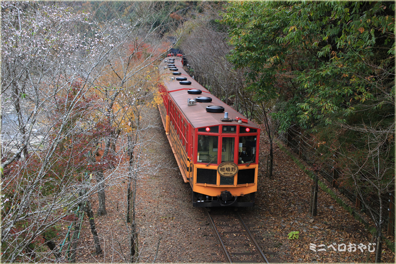紅葉の京都ウォーキング 嵯峨野トロッコ列車と嵐電 青空写楽 写真撮影とデジカメ遊び